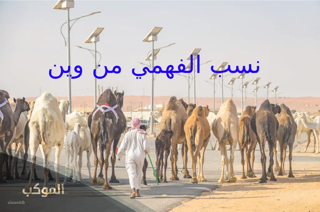 الفهمي وش يرجع ..بطون وفروع عائلة الفهمي 6 فروع قبيلة الفهمي القديمة