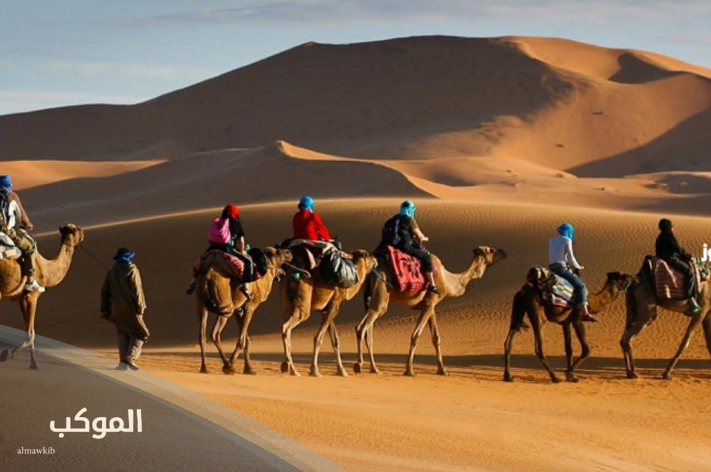 نسب قبيلة مطير