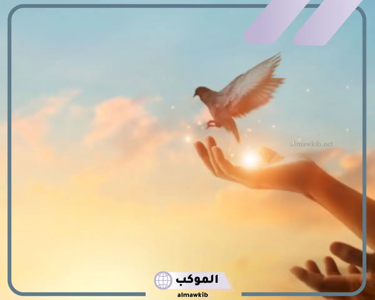 عبارات عن الامل بالله.. أجمل ما قيل عن التفاؤل والأمل