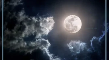 أجمل العبارات عن القمر 1