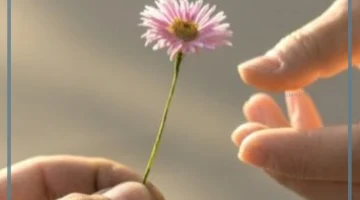 أجمل كلام عن العطاء