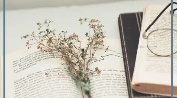 أرقى الكلمات