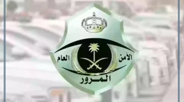 الأمن العام