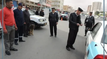 الاستعلام والسداد للمخالفات المرورية بمصر