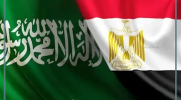 التعاون بين مصر والسعودية