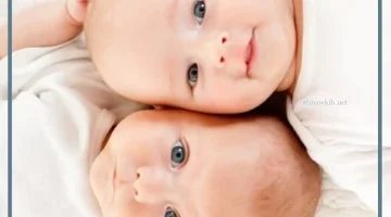 التوأم في الحلم