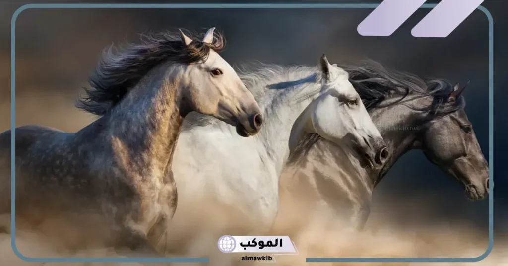 رؤية الحصان في المنام للعزباء