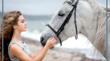 الحصان في المنام