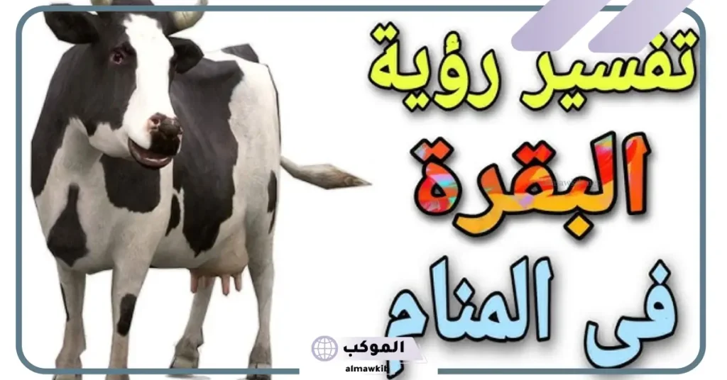 تفسير حلم البقر الكثير للعزباء