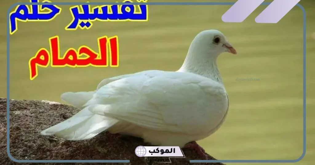 رؤية الحمام في المنام للرجل