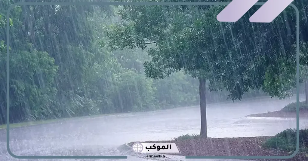 تفسير حلم نزول المطر بغزارة في الليل