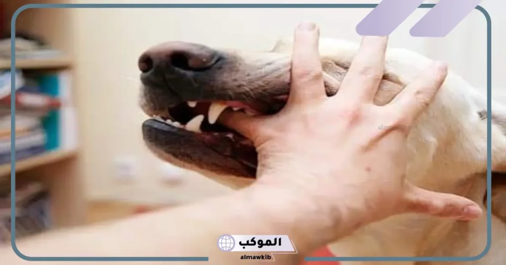 عضة الكلب في المنام في اليد