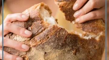 الخبز في المنام