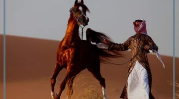 الخيل