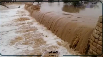 السيول في المنام