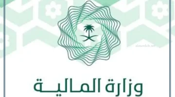 العوائد السنوية