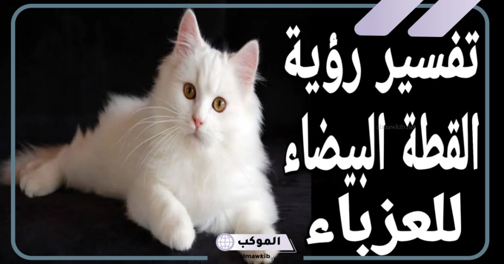 تفسير حلم القطط الصغيرة الملونة  