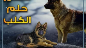 الكلب في المنام