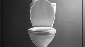 المرحاض في المنام