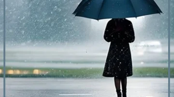 المطر في الحلم