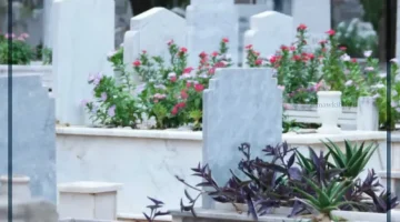 المقابر في المنام