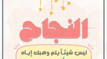 النجاح في الحياة