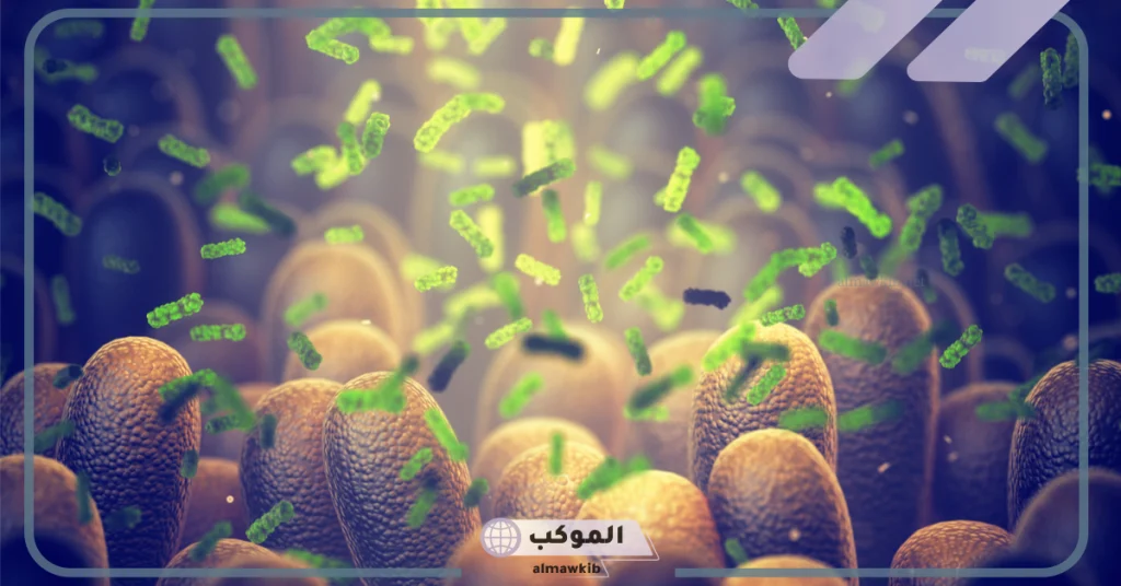 أفصل بروبيوتيك للقولون 