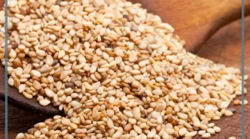 تجربتي مع السمسم