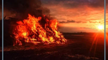 تفسير الحلم بيوم القيامة