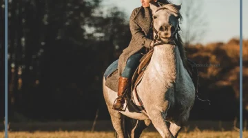 تفسير حلم ركوب الخيل