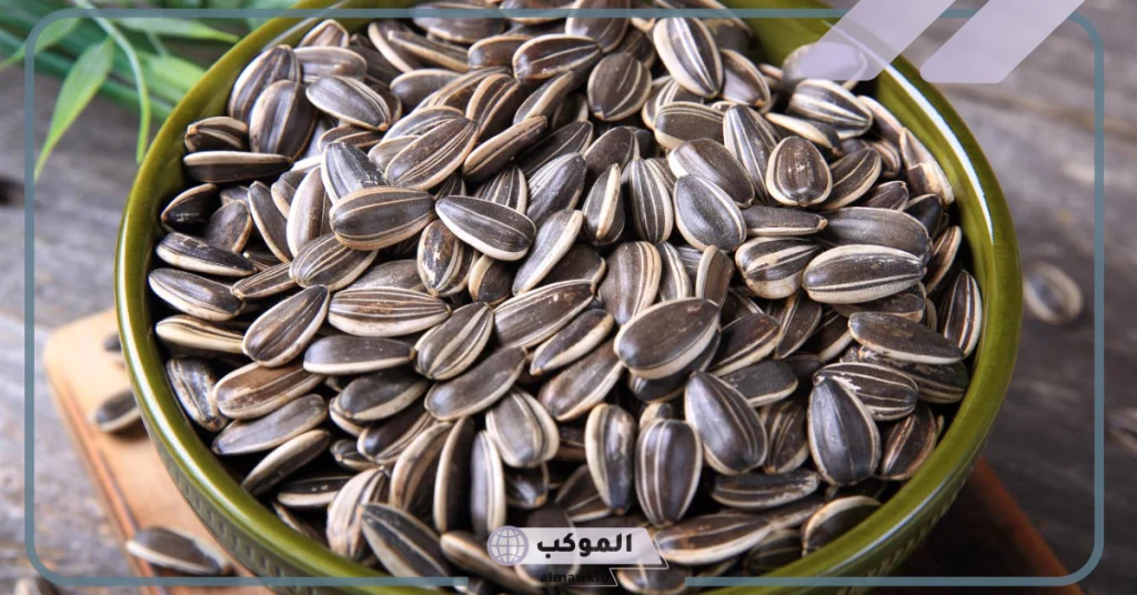تفسير حلم اللب في المنام لابن سيرين 