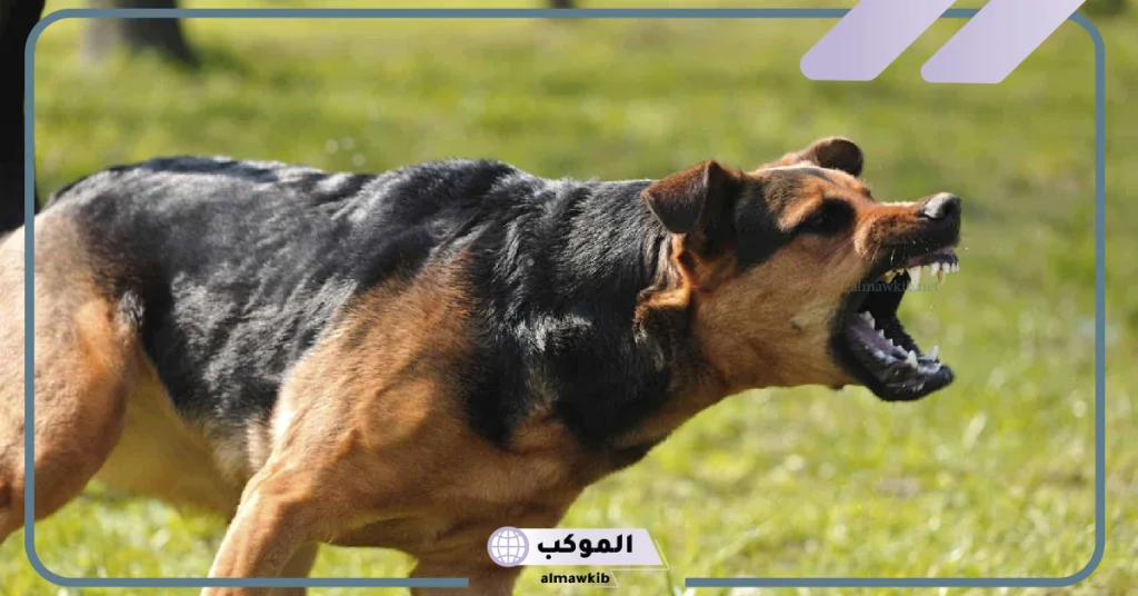 هجوم الكلاب في المنام