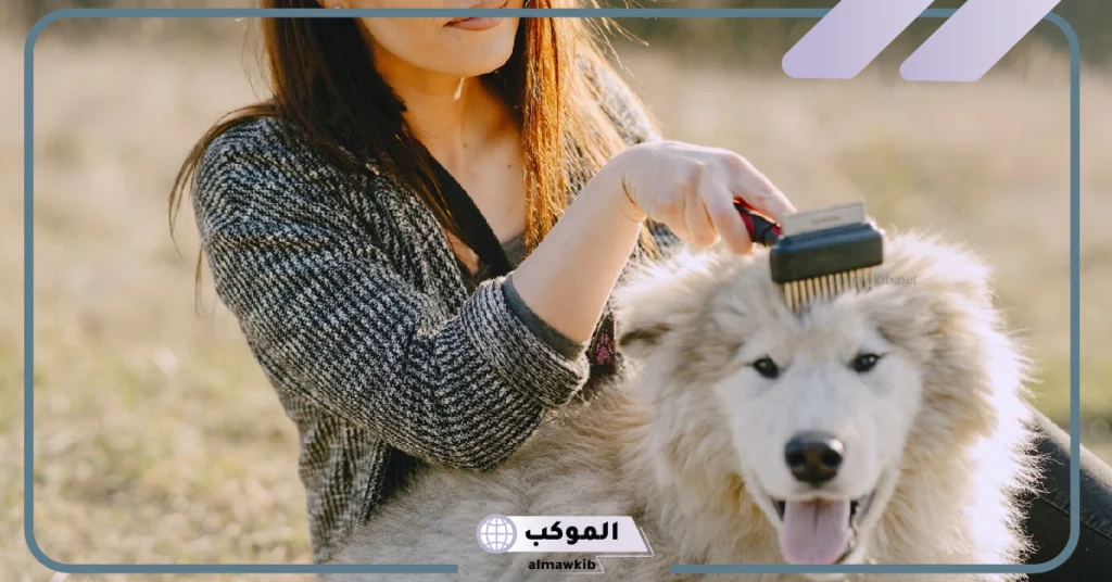 رؤية الكلب في المنام للعزباء