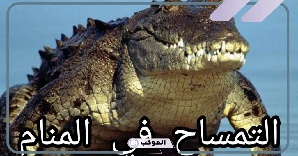 تفسير حلم التمساح للعزباء