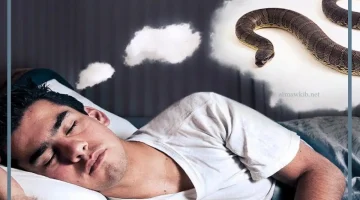 ثعبان كبير في الحلم