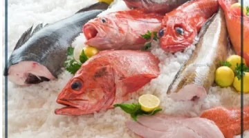 حلم أكل السمك