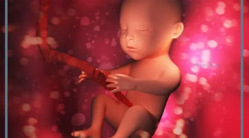 حلم الاجهاض في المنام