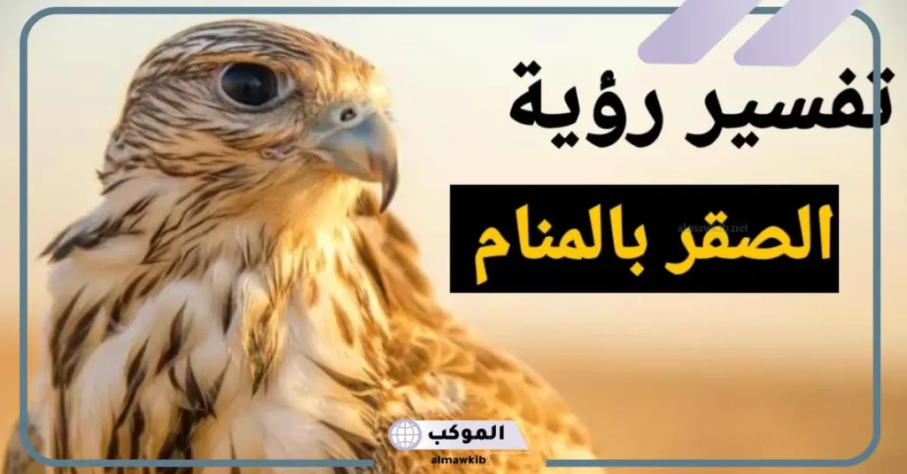 تفسير حلم الصقر في المنام للحامل والعزباء والمتزوجة 5 رؤية الصقر في المنام للمتزوجة