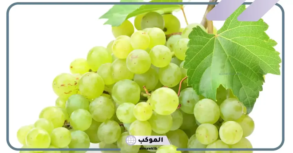 رؤية العنب في المنام للمتزوجة 