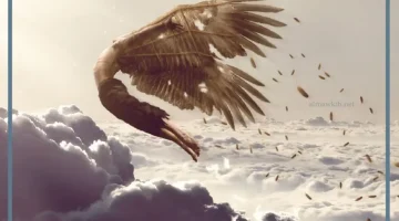 حلمت بالطيران