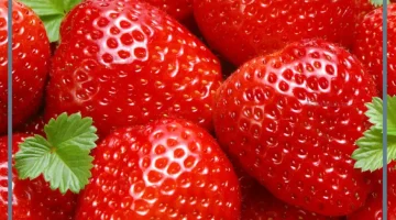 حلمت بفراولة