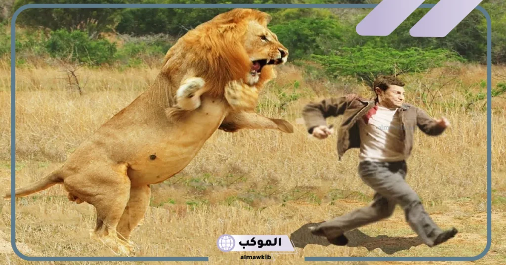 هل رؤية الاسد في المنام خير ام شر؟