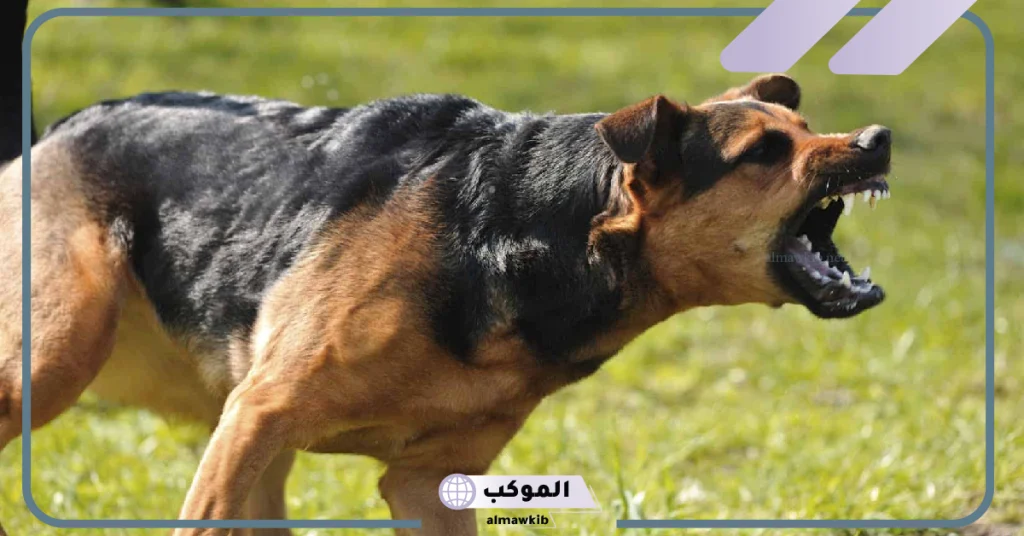 عضة الكلب في المنام