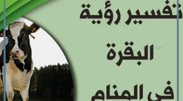 رؤية البقرة