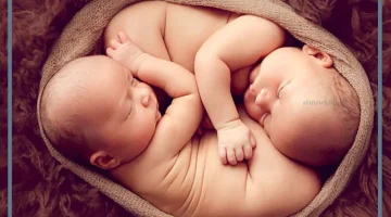 رؤية التوأم