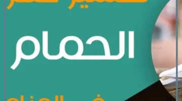 رؤية الحمام