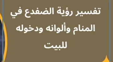 رؤية الضفدع