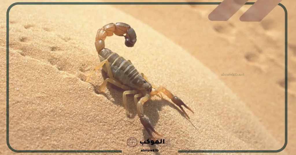 تفسير حلم العقرب الصفراء وقتلها للمتزوجة 