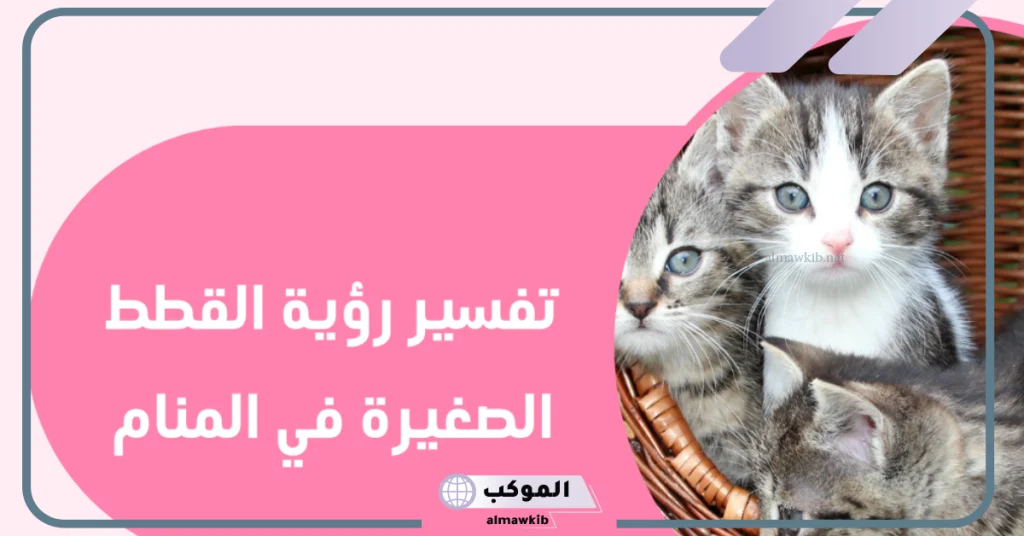 رؤية القطط في المنام للمتزوجه  