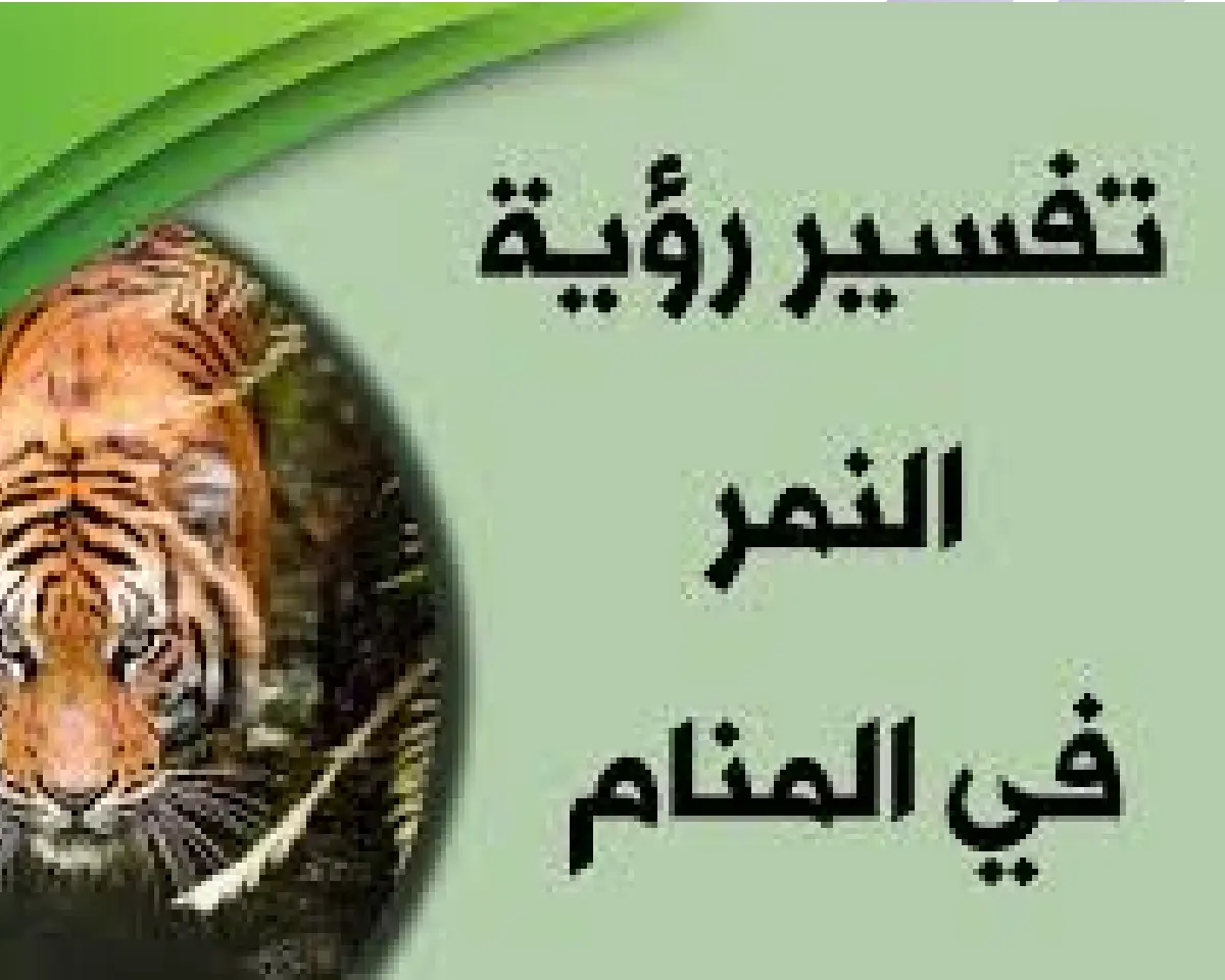 رؤية وتفسير حلم النمر في المنام